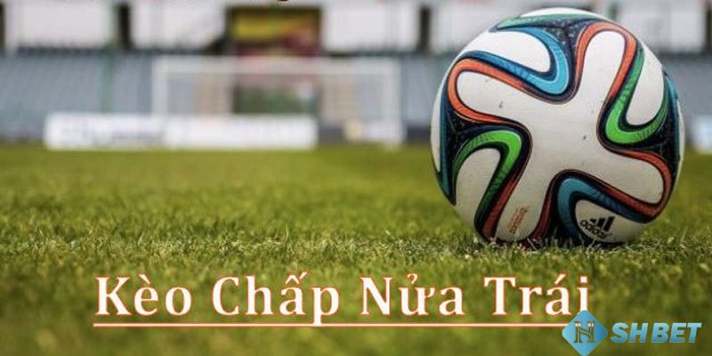 Kèo chấp nửa trái Tìm hiểu về các loại kèo chấp nửa trái phổ biến