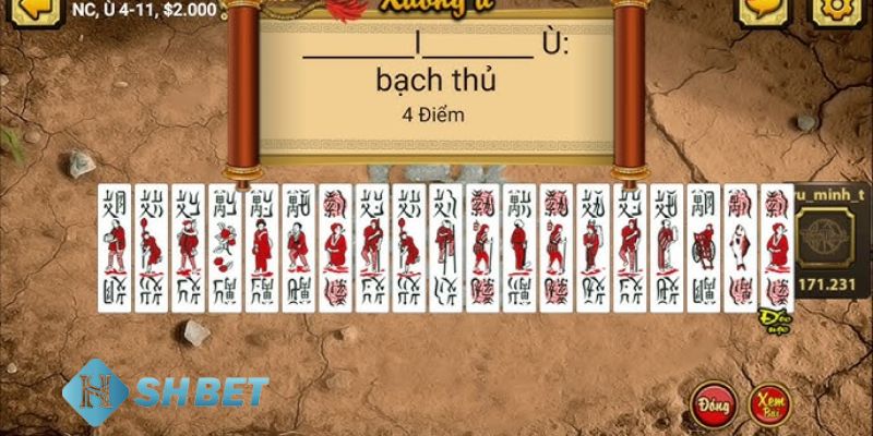 Tổng quan về chắn