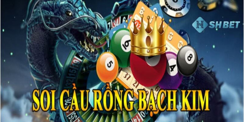 Mục đích chính của việc soi cầu rồng bạch kim trong lô đề