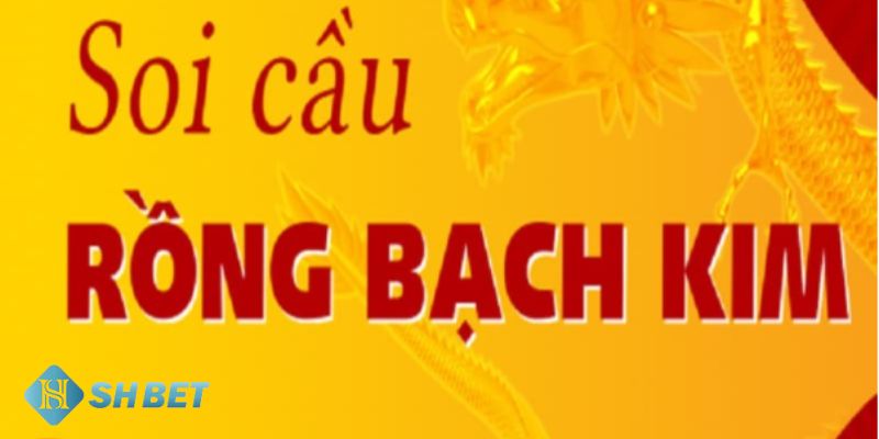 Chia sẻ phương pháp soi cầu rồng bạch kim mới nhất từ các chuyên gia