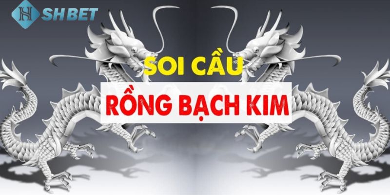 soi cầu rồng bạch kim