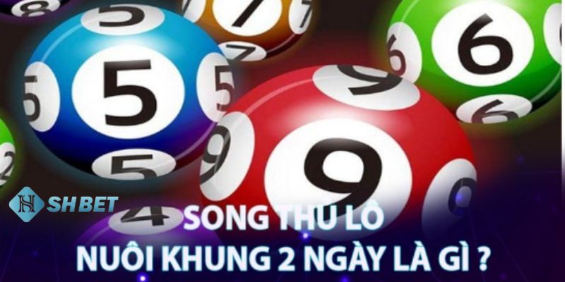 Giải thích về khái niệm song thủ lô nuôi khung 2 ngày là gì?