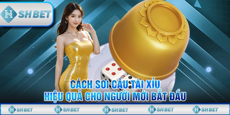 cách soi cầu tài xỉu