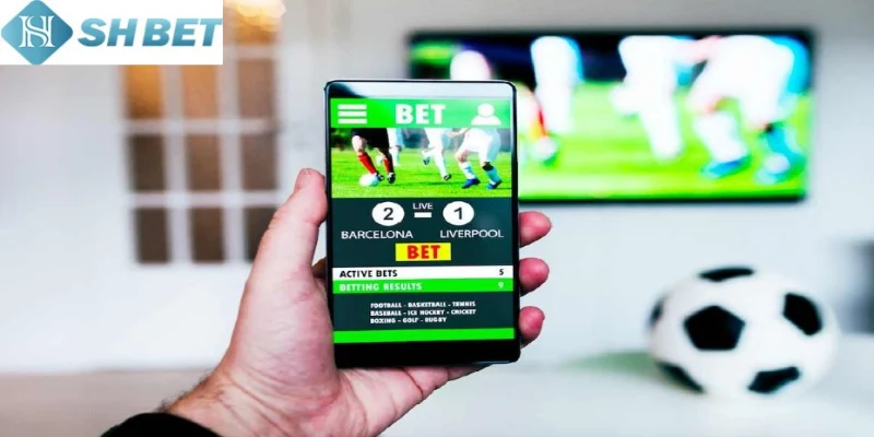 App cá độ bóng đá Shbet trở nên phổ biến bậc nhất hiện nay