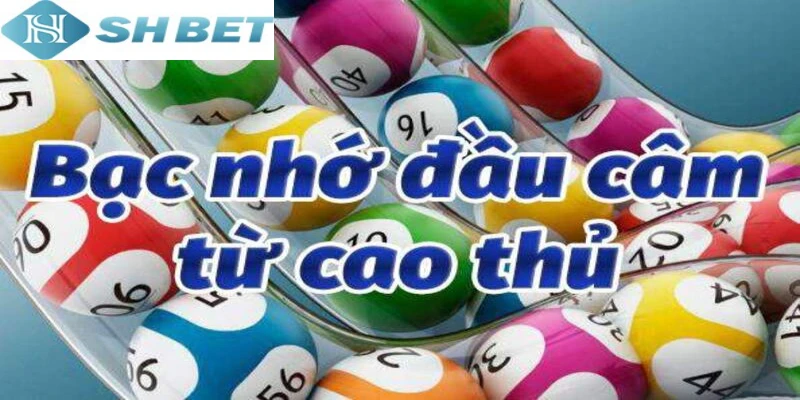 Tham gia chơi bạc nhớ đầu câm lấy tiền thưởng hôm nay