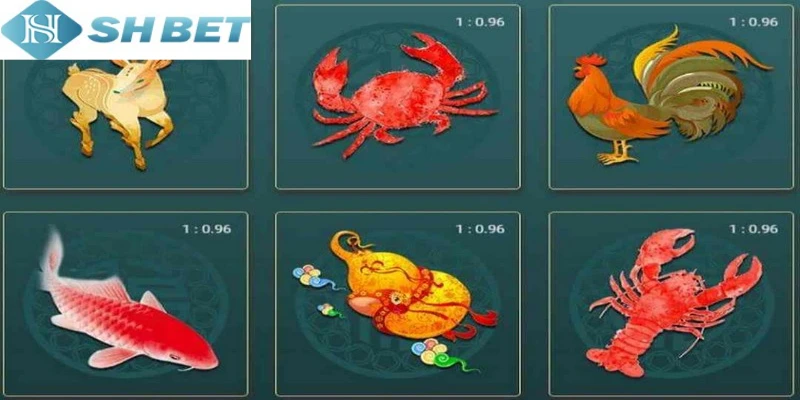 Mọi người hãy chọn SHBET để chơi bầu cua online ngay hôm nay