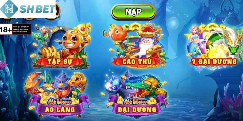 Nền tảng vững chắc cho ngư thủ mới tại phòng tập sự hôm nay