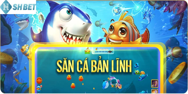 Cập nhật cách tính điểm trong hải tặc và đại chiến chuẩn nhất 