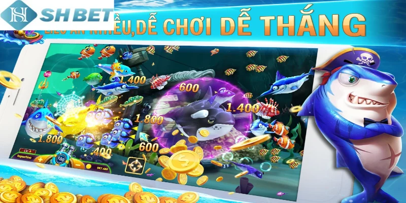 Các tính năng nổi bật của săn cá hải tặc người mới cần nắm