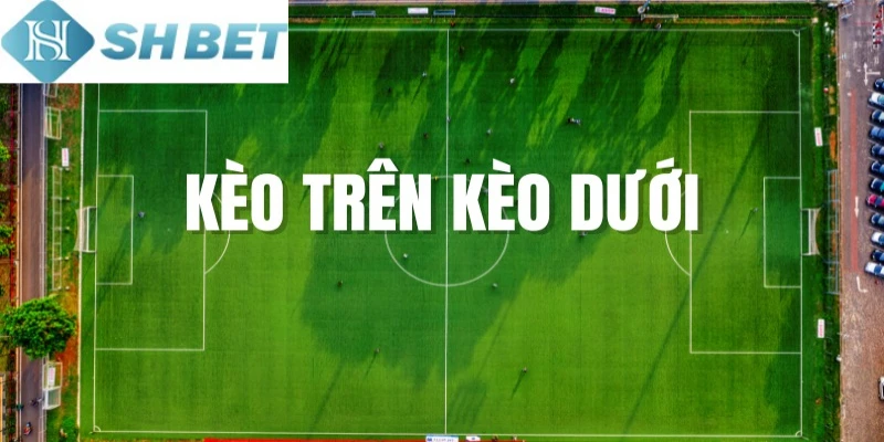 Tận dụng tối đa lời khuyên để đặt cược hiệu quả