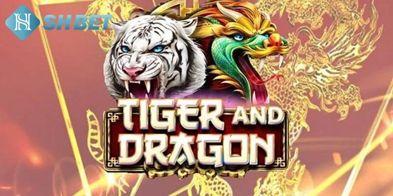 Luật chơi casino rồng hổ