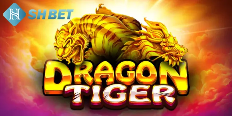 Những mẹo hay khi chơi casino rồng hổ