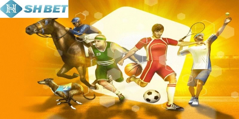 Đừng quên áp dụng bí quyết cá cược hiệu quả, thắng cược lớn