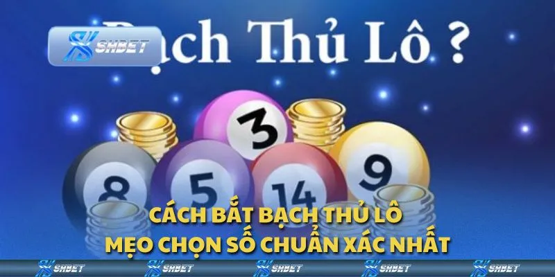 Cách bắt bạch thủ lô - Mẹo chọn số chuẩn xác nhất