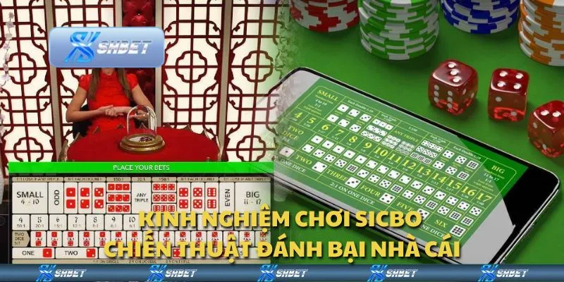 Kinh nghiệm chơi Sicbo - Chiến thuật đánh bại nhà cái