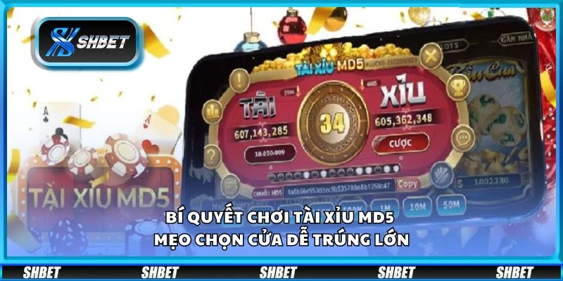 Bí quyết chơi tài xỉu MD5 - Mẹo chọn cửa dễ trúng lớn