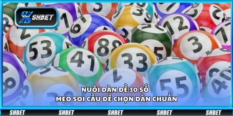 Nuôi dàn đề 30 số – Mẹo soi cầu để chọn dàn chuẩn