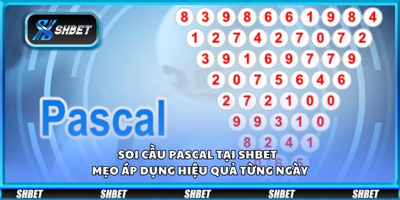 Soi cầu Pascal tại Shbet - Mẹo áp dụng hiệu quả từng ngày